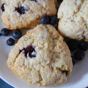 Seasonal Fresh Blueberry Lemon