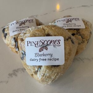 Dairy Free Blueberry